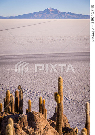 View from Isla Incahuasi 29041749