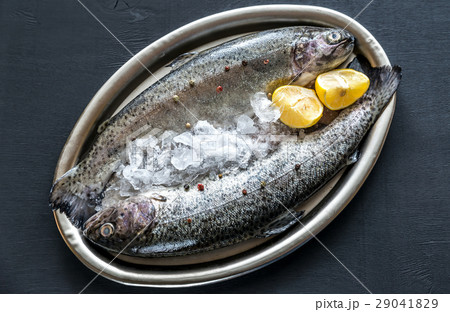 Fresh trouts in ice on the vintage metal tray Fresh trouts in ice on the vintage metal tray 29041829