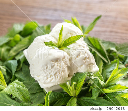 Vanilla ice cream in mint 29042018