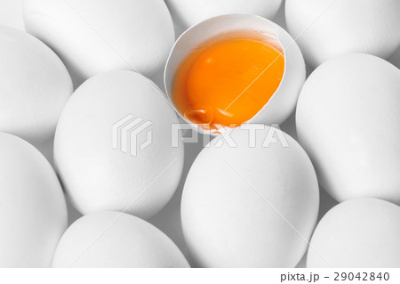 chicken white eggs closeup chicken white eggs closeup 29042840