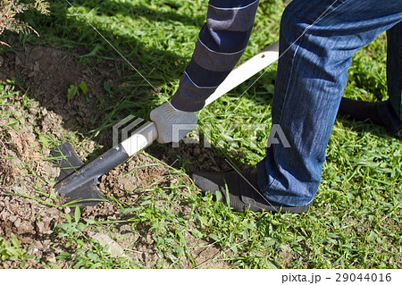spring works in a garden, the man in fabric gloves spring works in a garden, the man in fabric gloves 29044016