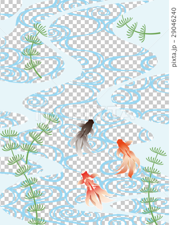 流水紋と金魚 流水紋と金魚 29046240