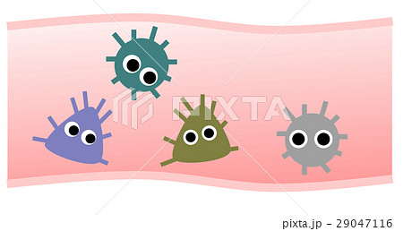 腸内細菌 腸内細菌 29047116
