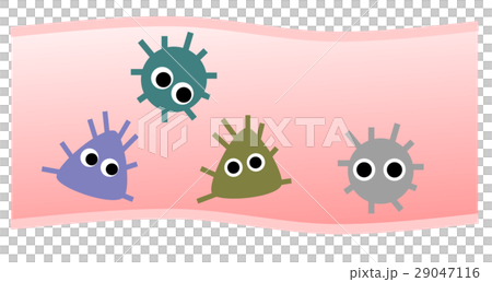 腸内細菌 腸内細菌 29047116