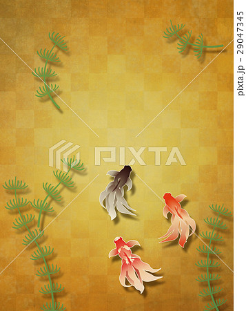 金魚 29047345