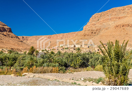 A village with traditional kasbah houses in Ziz 29047689