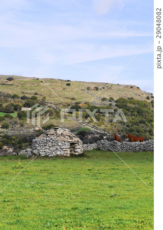 borutta ボルッタ sardegna サルデーニャ borutta ボルッタ sardegna サルデーニャ 29048082