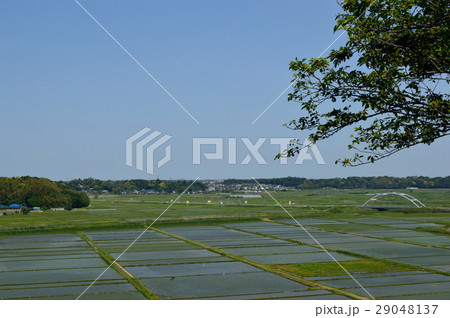 田園風景　俯瞰 29048137