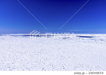 知床半島・ウトロの大流氷原 29049659