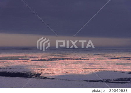 知床半島・ウトロの流氷原の朝 29049683