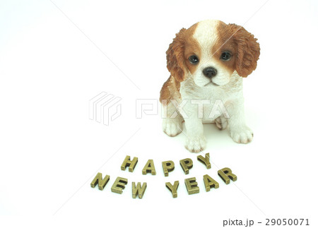 戌年の年賀状 戌年の年賀状 29050071