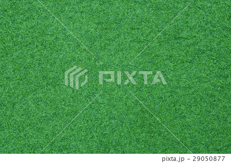 Artificial green grass Artificial green grass 29050877