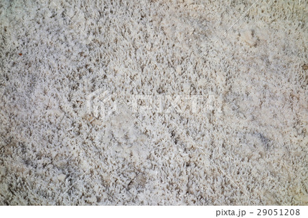 Bad Water_Death Valley National Park 29051208