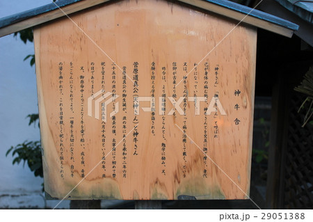 神牛舎　看板 29051388