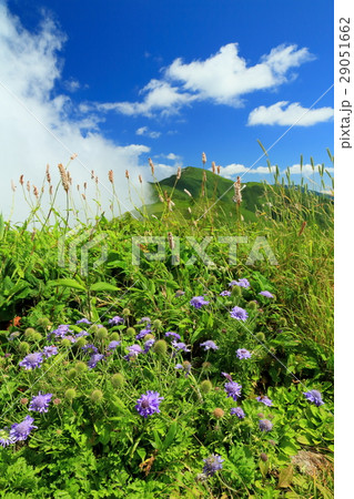 雲湧く飯豊連峰・北股岳と高山植物 雲湧く飯豊連峰・北股岳と高山植物 29051662