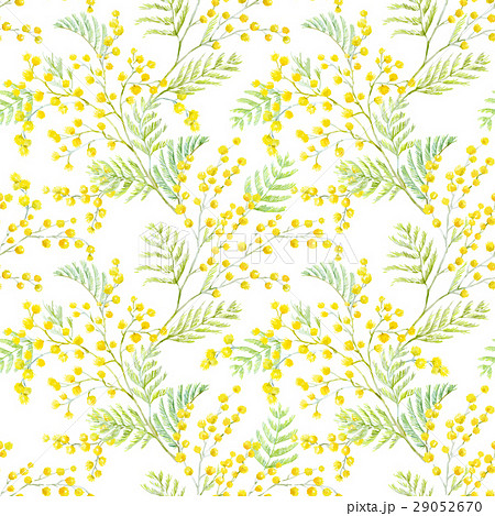 Watercolor Mimosa Vector Patternのイラスト素材