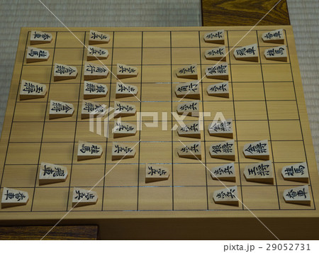 将棋 将棋 29052731