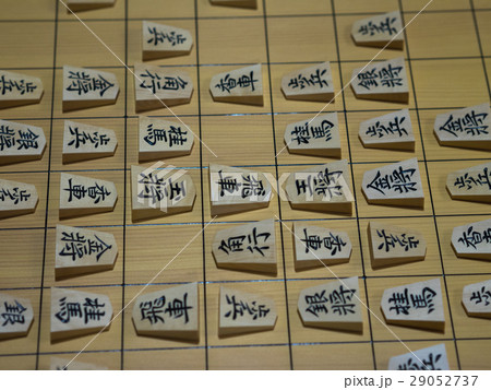 将棋 将棋 29052737