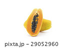 papaya fruit on white background 29052960