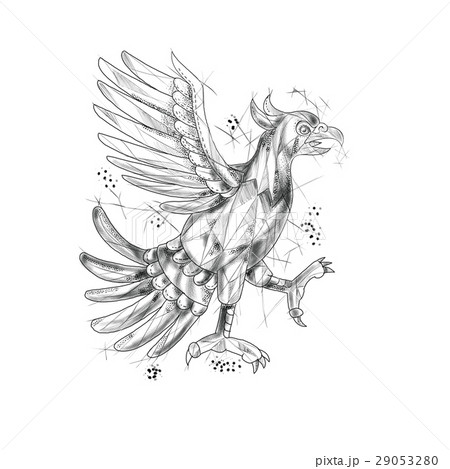 Cuauhtli Glifo Eagle Fighting Stance Tattoo 29053280