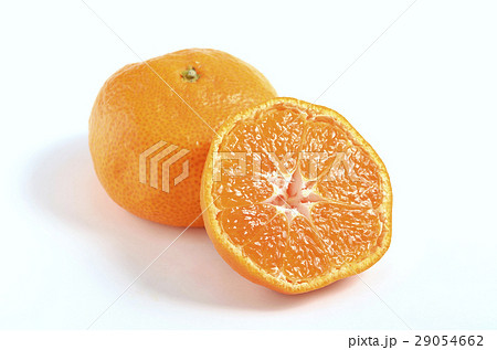 みかん（十万みかん） 29054662