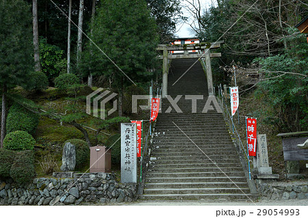 慈尊院から丹生官省符神社えの参道 29054993