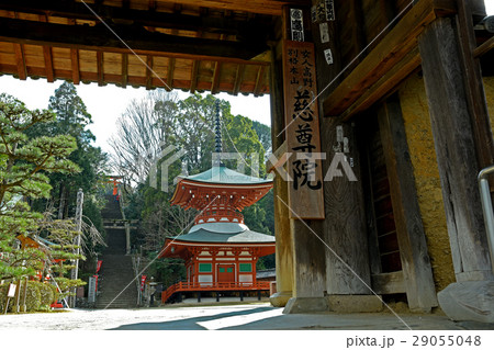 世界遺産　慈尊院山門 29055048