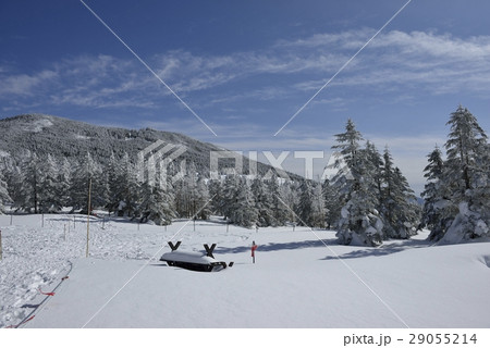 縞枯山・坪庭自然園(長野県) 縞枯山・坪庭自然園(長野県) 29055214