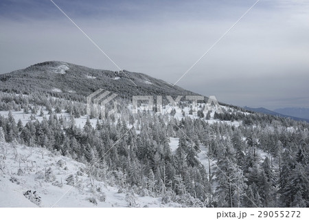 縞枯山・坪庭自然園(長野県) 縞枯山・坪庭自然園(長野県) 29055272