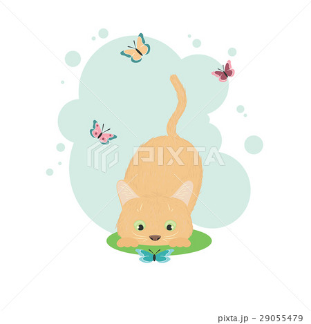 Cat and butterflies 29055479