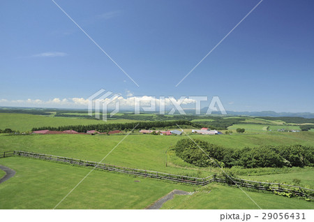 多和平 多和平 29056431