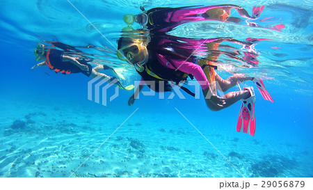 沖縄　渡嘉敷島の渡嘉志久ビーチ　親子で熱帯魚を観察　水中撮影 29056879