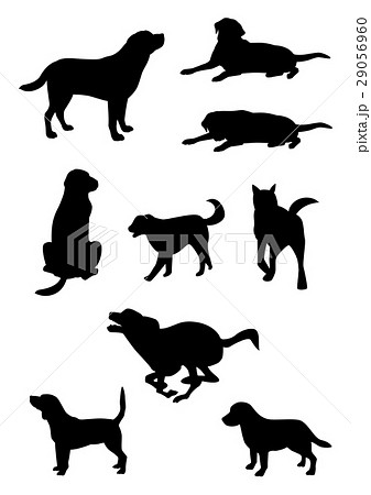 シルエット動物 動物 犬のイラスト素材 29056960 Pixta
