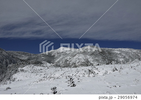 坪庭の冬景色・坪庭自然園(長野県) 坪庭の冬景色・坪庭自然園(長野県) 29056974