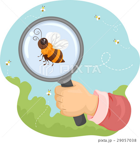 Bee Hand Magnifying Glass 29057038