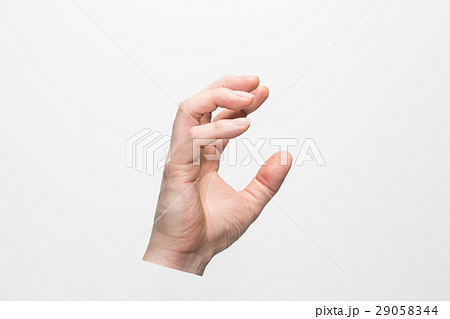 男性の右手 29058344