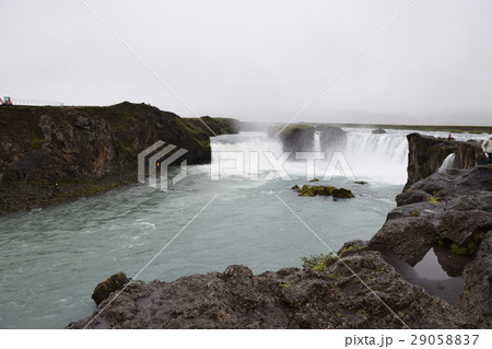 ゴーザフォス 29058837