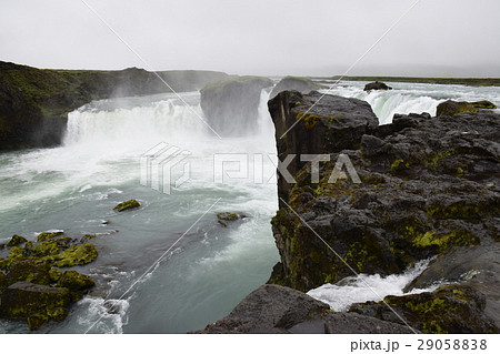 ゴーザフォス 29058838