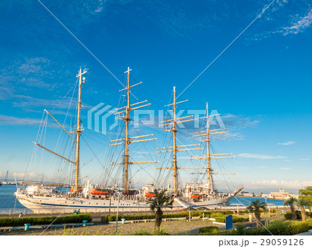 にっぽん丸 29059126