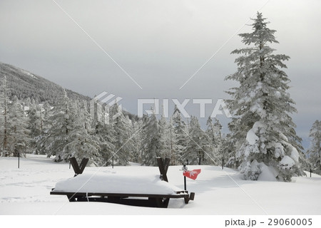 坪庭の散策路・坪庭自然園(長野県) 坪庭の散策路・坪庭自然園(長野県) 29060005