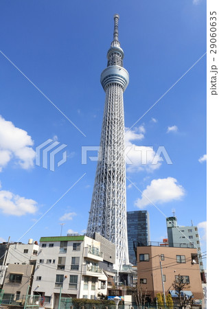 春・青空・東京スカイツリー2 29060635