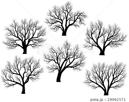 Silhouettes of trees without leaves. 29062571
