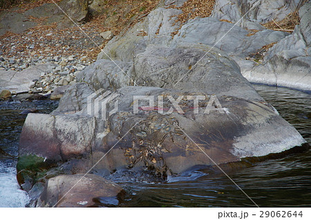 木戸の馬蹄石 29062644