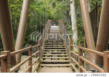 河津七滝 河津七滝 29063560