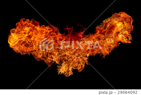 Fire isolated on black background. 29064092