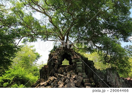 ベンメリア遺跡 ベンメリア遺跡 29064466