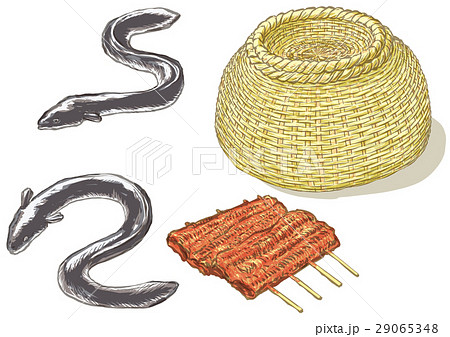 うなぎ うなぎ 29065348