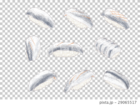 握Kohada 握Kohada 29065517