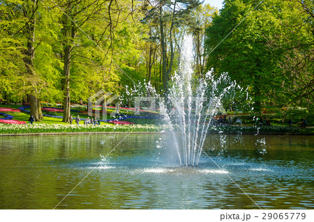 Pond with a fountain in the park Pond with a fountain in the park 29065779
