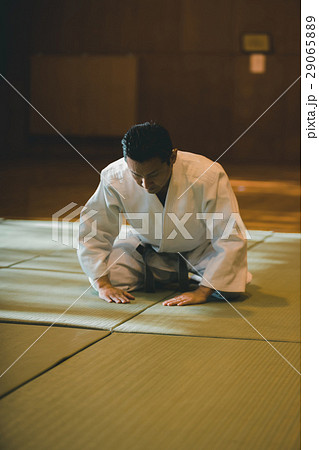 martial artist martial artist 29065889